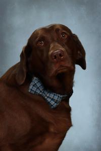 Dillon, Charlie